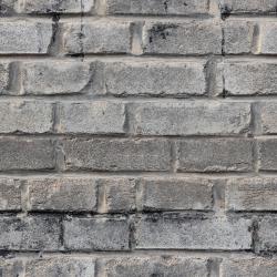 Seamless Textures of Wall Bricks + Normal & Bump Mapping